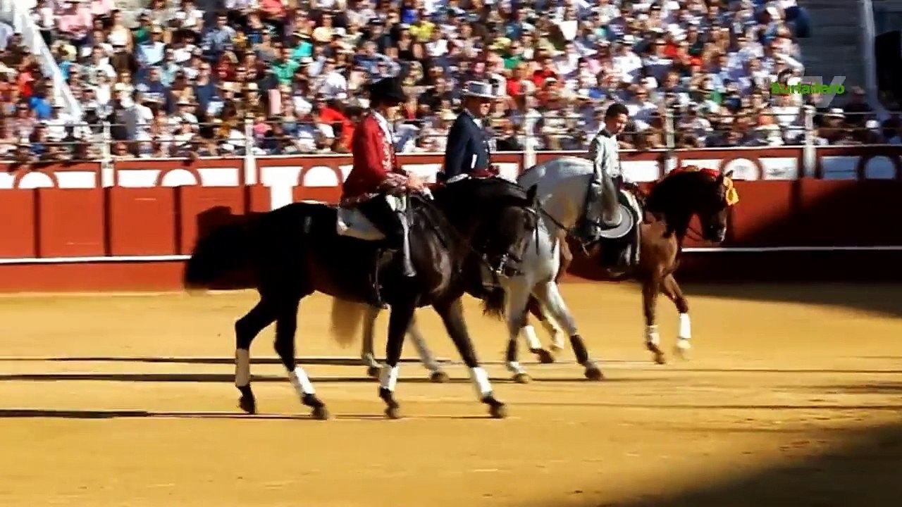Málaga 23 ago 2015