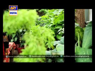 The love triangle in 'Family Band' Ep - 12 - ARY Digital