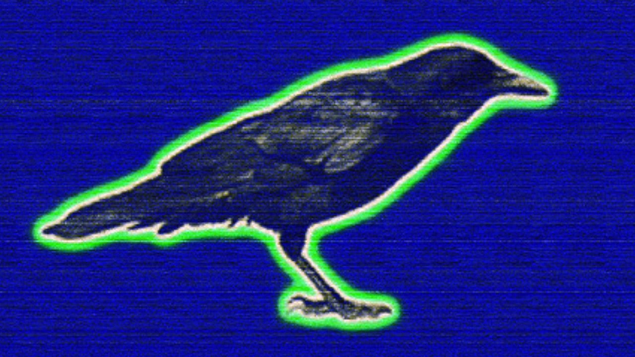 " Bluebird " Charles Bukowski / Vishal