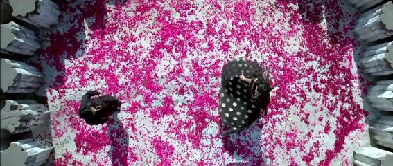 Slambook | Song Review | Dilip Prabhavalkar | Ritika Shrotri | Shantanu | Marathi Movie