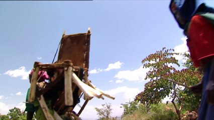 Abyssinians - The mix of races