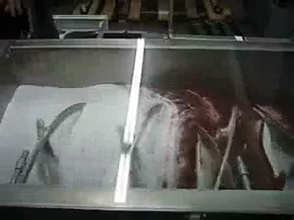 feed mixer machine with double spiral