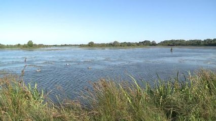 Ouverture en Camargue, une belle matinée de chasse