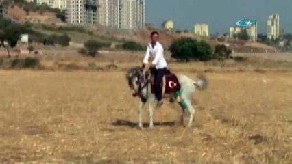 Atlar çarpıştı: Biniciler ölümden döndü !