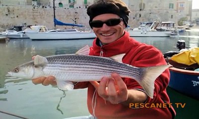 Pesca al cefalo in mare