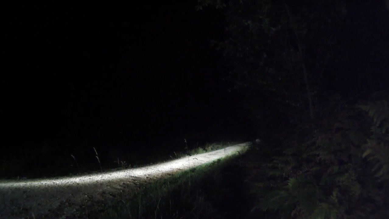 ghost