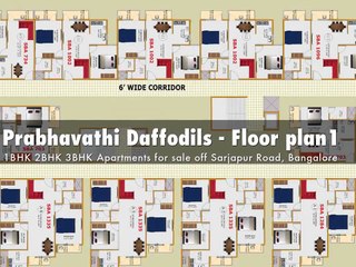 Prabhavathi Daffodils - bangalore5.com