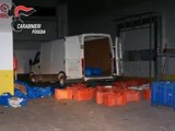 Foggia - assalto a furgone carico di sigarette a Termoli:  3 arresti