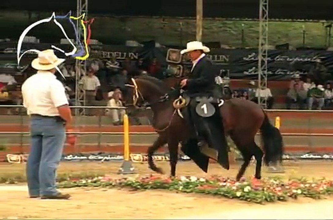 Paso Fino- Hijos de Dulce Sueno de Lusitania, Copa Ciudad de Medellin