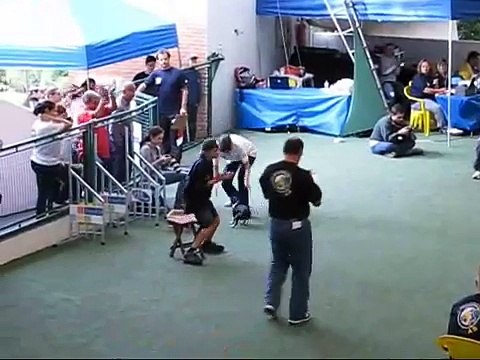 Boston Terrier Duna winner at Agility Championship