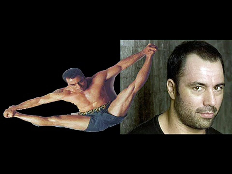 Joe Rogan Podcast 12-24-09 10/13