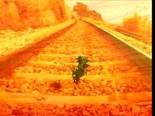 Human Self-Destruction Short Version