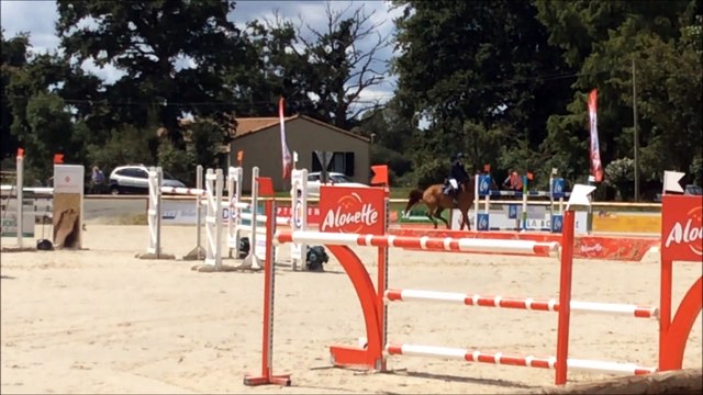 THORUS GP 135 LES HERBIERS 08-15