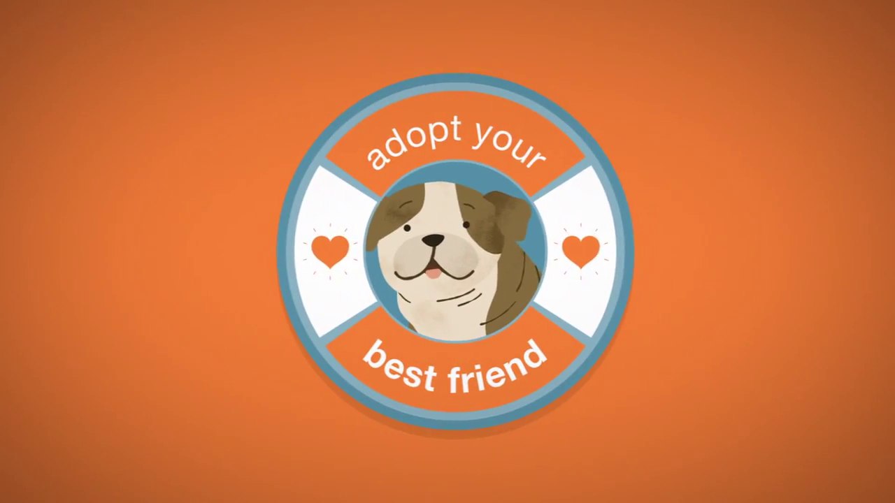 Adopt a pet and save a life - Pet store and puppy mills connection  Why you should not buy puppies