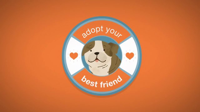 Adopt a pet and save a life - Pet store and puppy mills connection Why you should not buy puppies