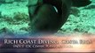 Dive Black Rock, Bat Islands in Costa Rica with Rich Coast Diving.