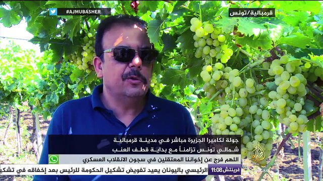 جولة لكاميرا الجزيرة مباشر في مدينة قرمبالية شمالي تونس تزامنا مع بداية قطف العنب