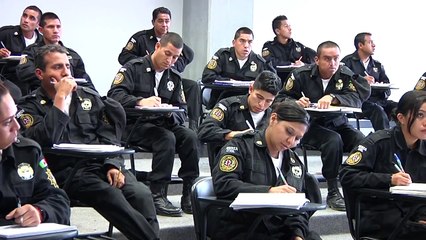 Universidad en Ciencias de la Seguridad