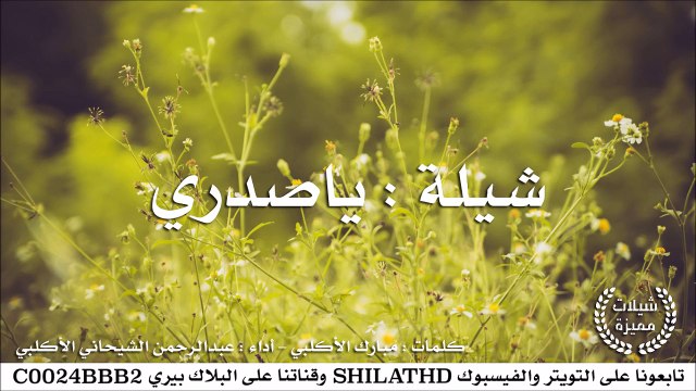 شيلة : ياصدري - أداء : عبدالرحمن الشيحاني الأكلبي | أصلي + مسرع | #شيلات #صوتيات