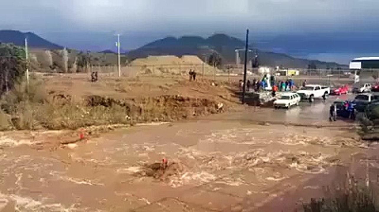 very brave driver