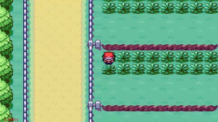 [WT]Pokemon Fire Red (03)