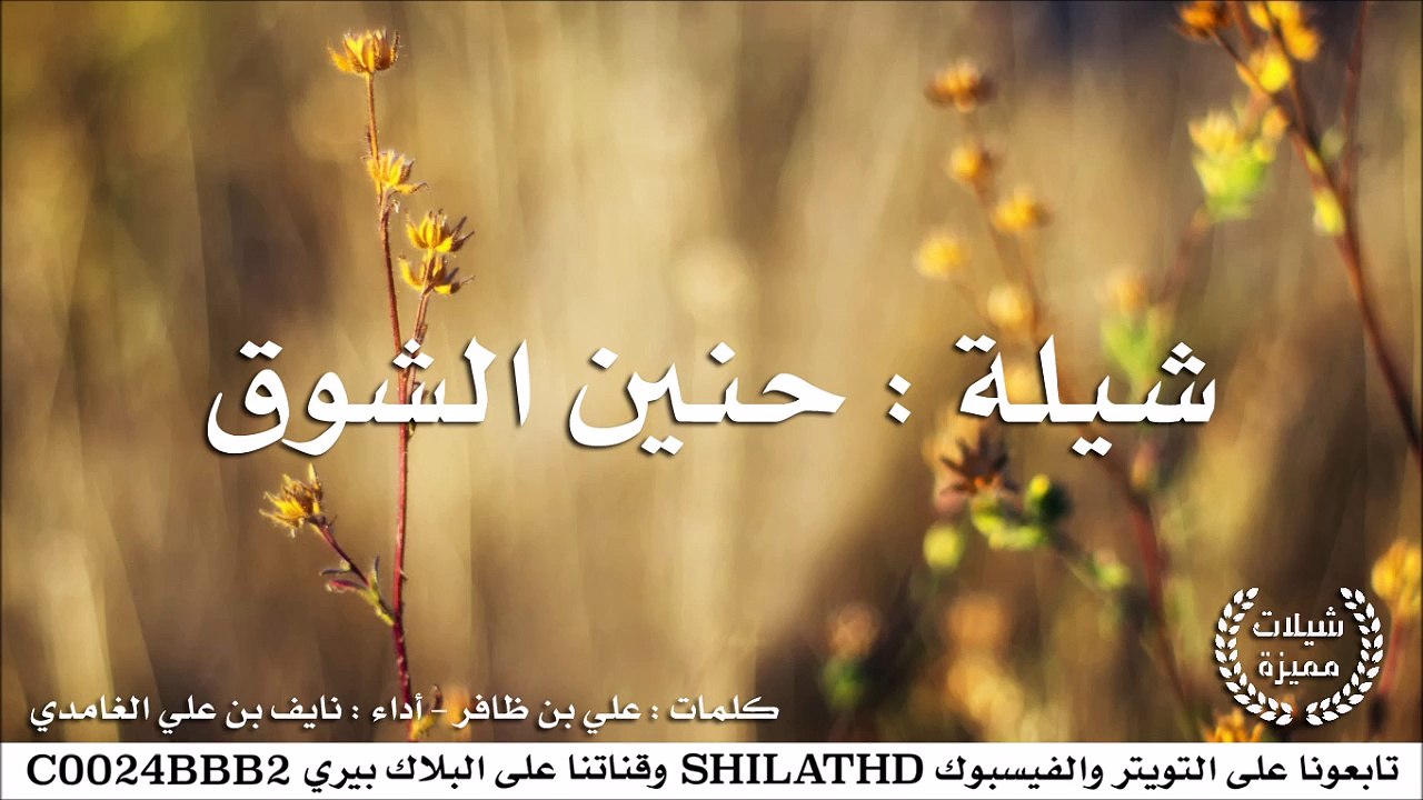 شيلة : حنين الشوق - أداء : نايف بن علي الغامدي...