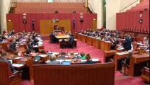 Australian Senate. ORDER. ON BOTH SIDES.