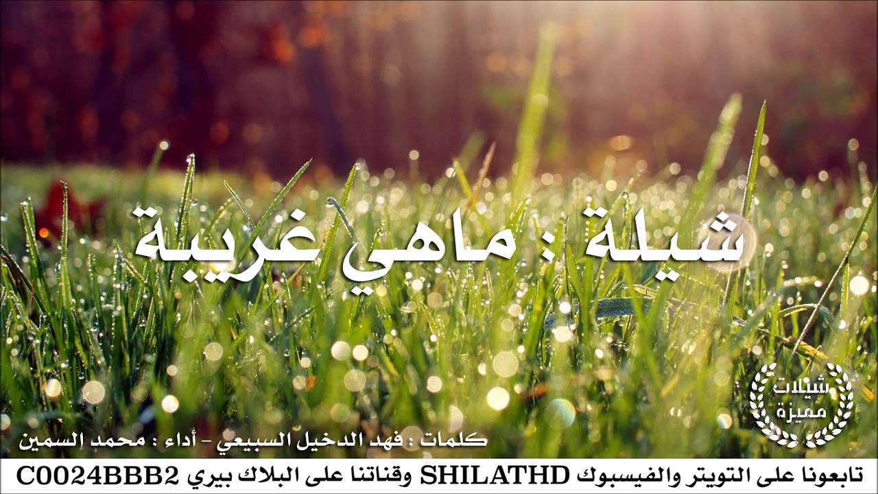 شيلة : ماهي غريبة - أداء : محمد السمين | أصلي +...
