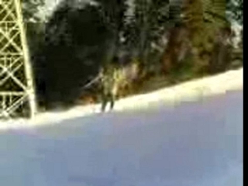 la chute ou pas ???