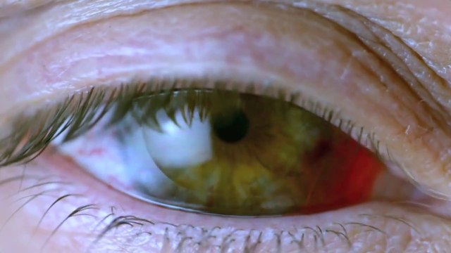 Bande-annonce de la série Wayward Pines