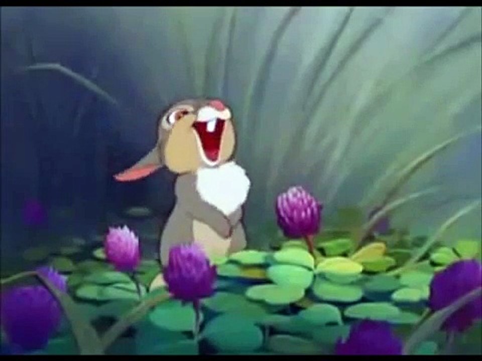 Thumper, What Did Your Father Tell You?