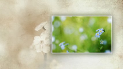 Aleksandar Stojic i VNO - Ja te ljubim djevo mila