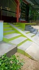 Goat is enjoying Sliding - very funny