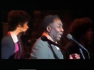 Muddy Waters - "Mannish Boy" - LIVE - '76 - HQ