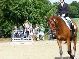 Didi  For sale -Verkaufspferd-  (4. Pferd in der Abteilung, 1. Platz)  -E Dressur  E2-  2012