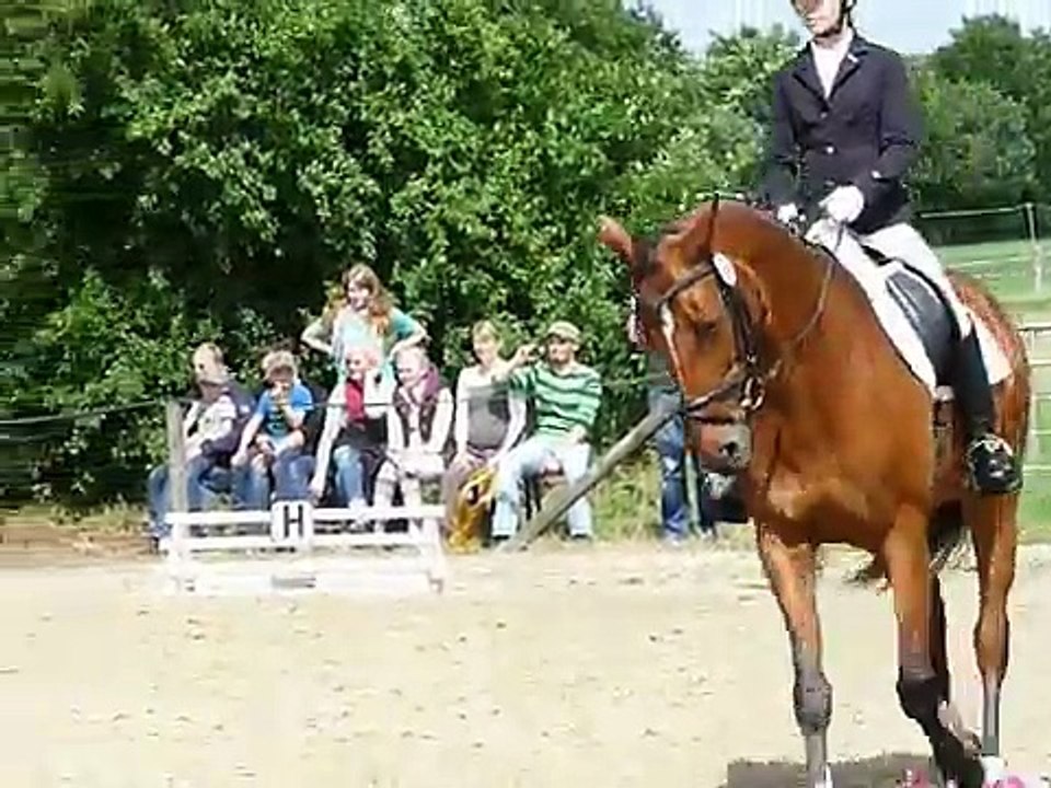 Didi  For sale -Verkaufspferd-  (4. Pferd in der Abteilung, 1. Platz)  -E Dressur  E2-  2012