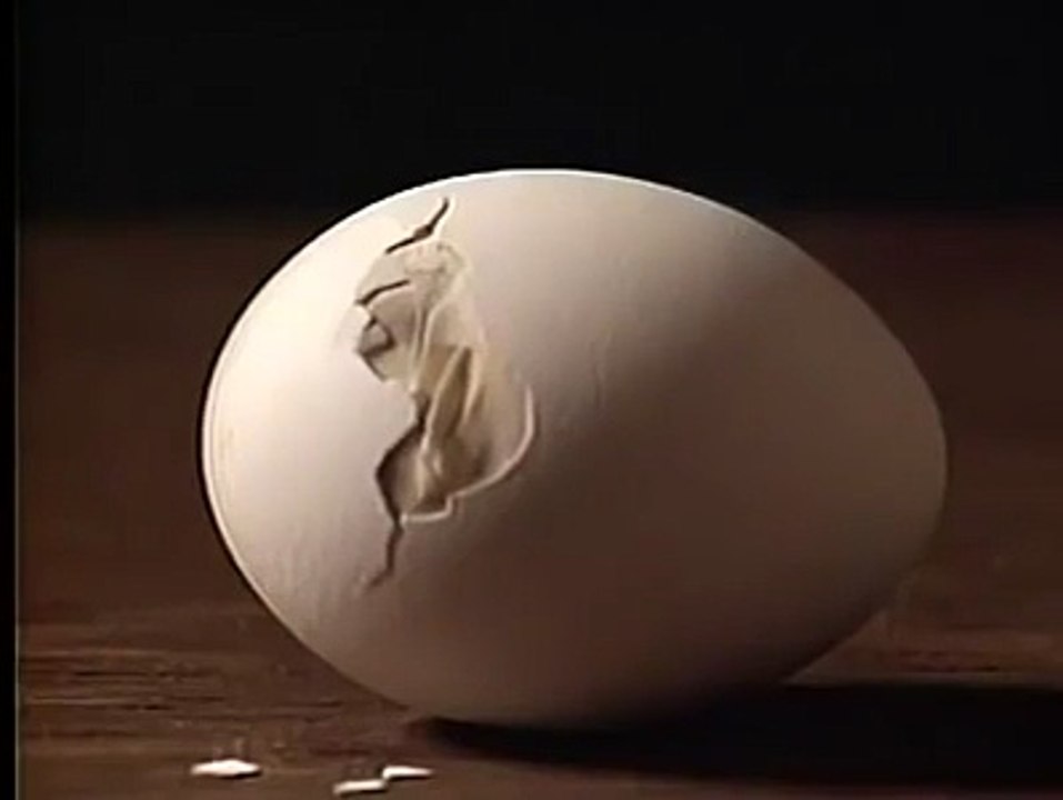 Allah Ki Qudrat Ki Ek Jhallak Dakho(Best Video Ever)