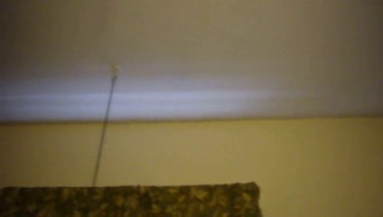 An even better alarm clock?  (SEUSPHONE Tele-Tuba)