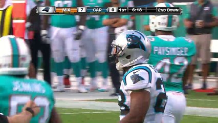 Dolphins vs. Panthers Highlights