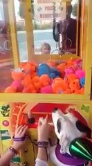 Birthday Dog Wins a Prize