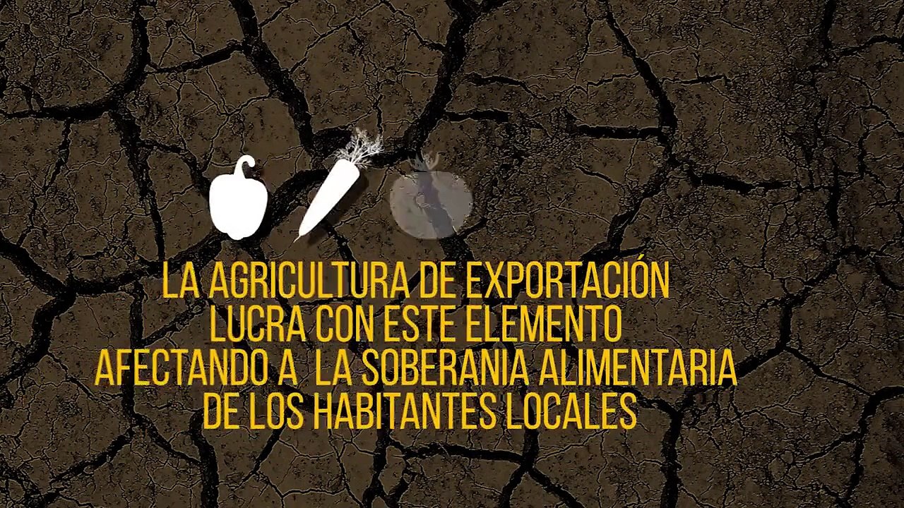 Sed de Conciencia