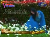 Afghan Pashto Songs    Best Of Naghma   Forever Hit Songs 8