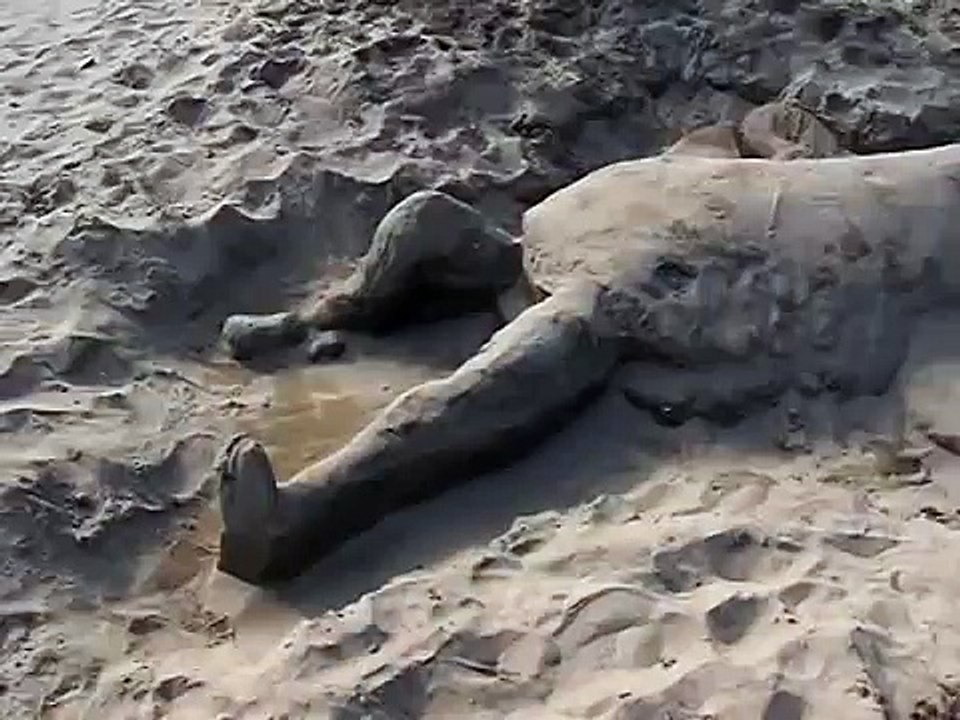 Sand Shark Eating a Sand Human
