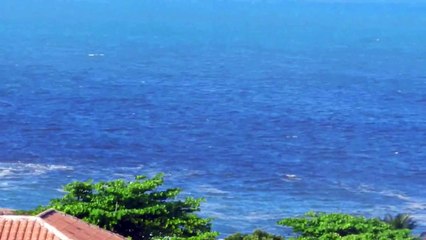 Mancha escura volta a aparecer na praia de Camburi