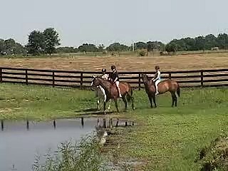 swimming with our horses!!! FUN!!!