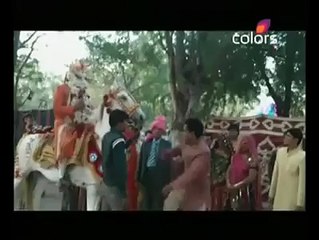 very funny video- man dance in front of hores