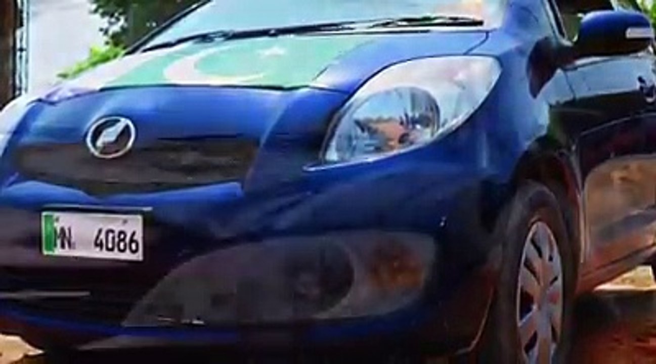 celebration of 14 augsut by seven bullets