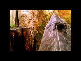 Sasha Persholja - Nonsense Talker (Official Music Video)