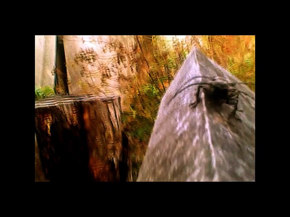 Sasha Persholja - Nonsense Talker (Official Music Video)