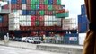 Rotterdam Port - ECT: Cranes loading a Ship / Automated Container Carriers